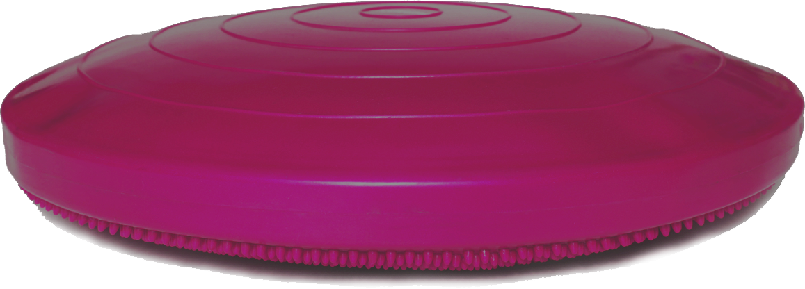FitPAWS® Balance Discs