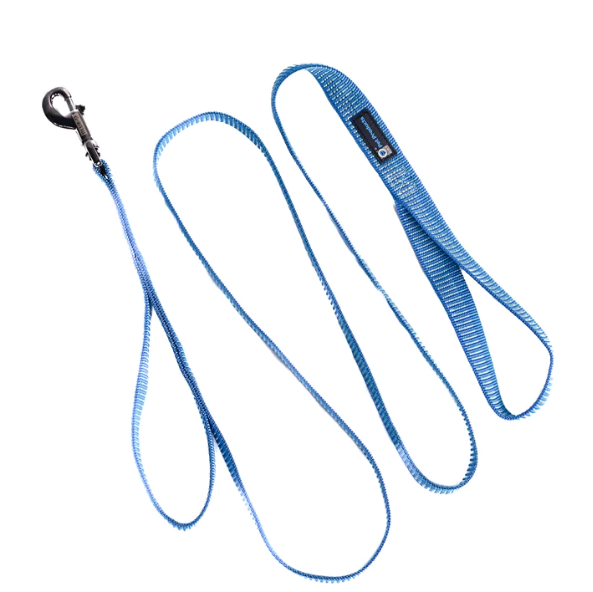 Blue-9 Reflective 6' Leash