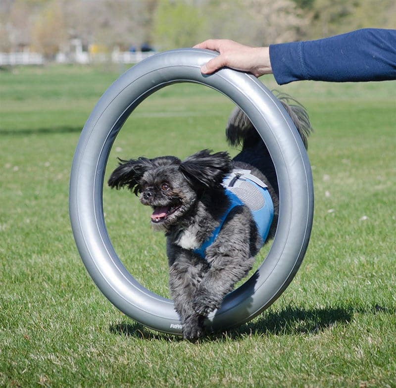 FitPAWS Circular Product Holder Grey