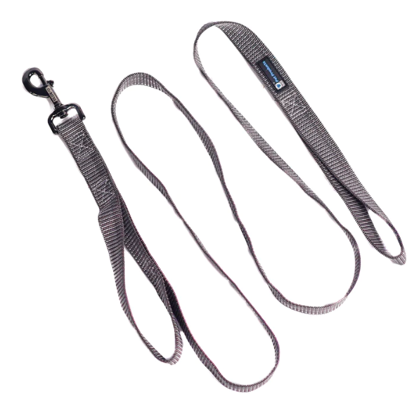 Blue-9 Reflective 6' Leash