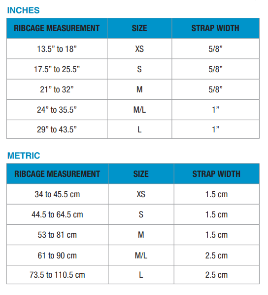 Blue-9 Reflective Balance Harness