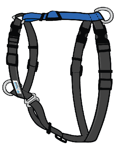 Blue-9 Balance Harness