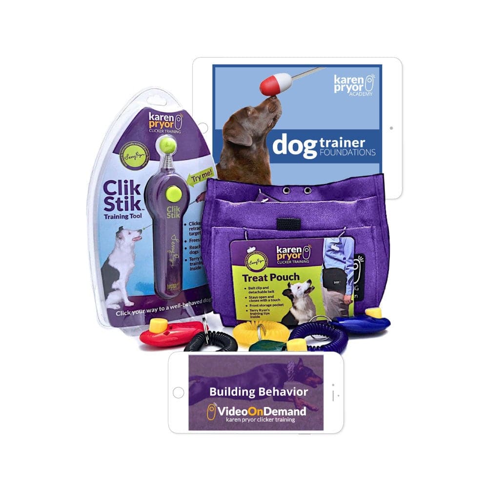 Dog Training Foundations:  Platinum Bundle