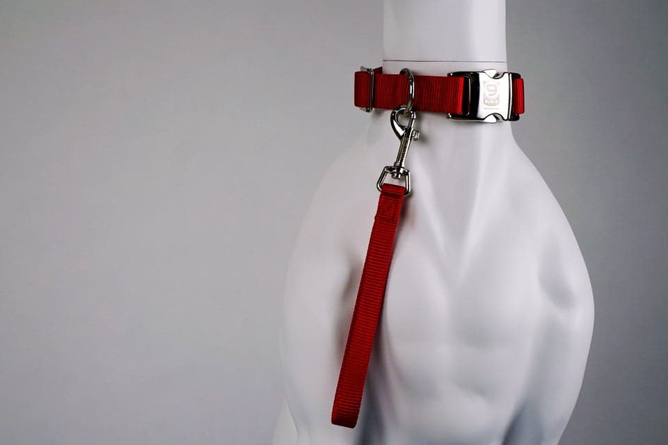 Blue-9 Tab Leash