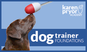 Dog Training Foundations:  Platinum Bundle