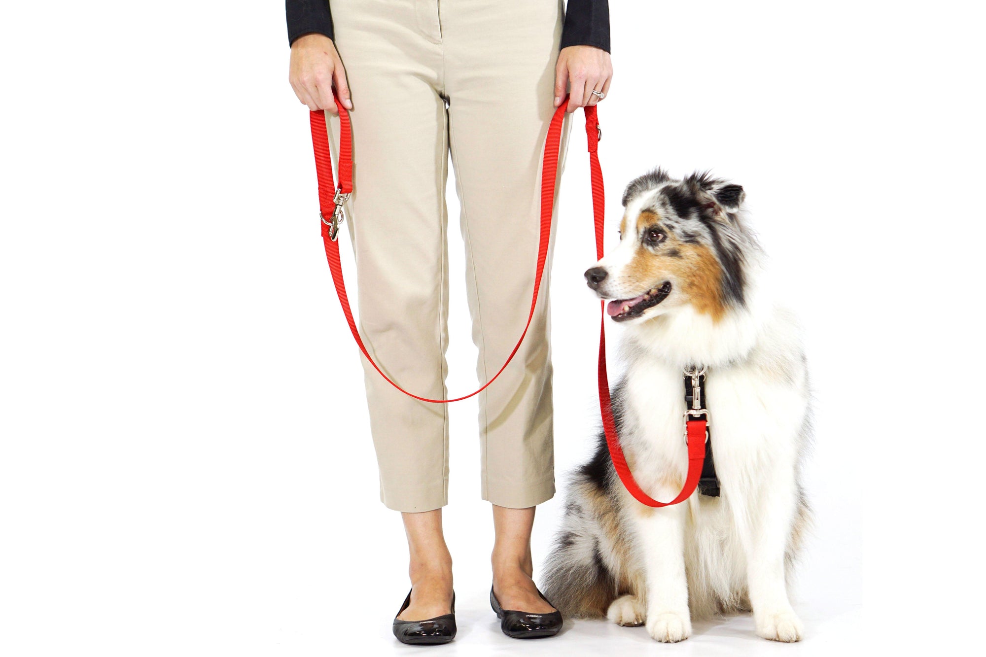 Blue-9 Multi-Function Leash