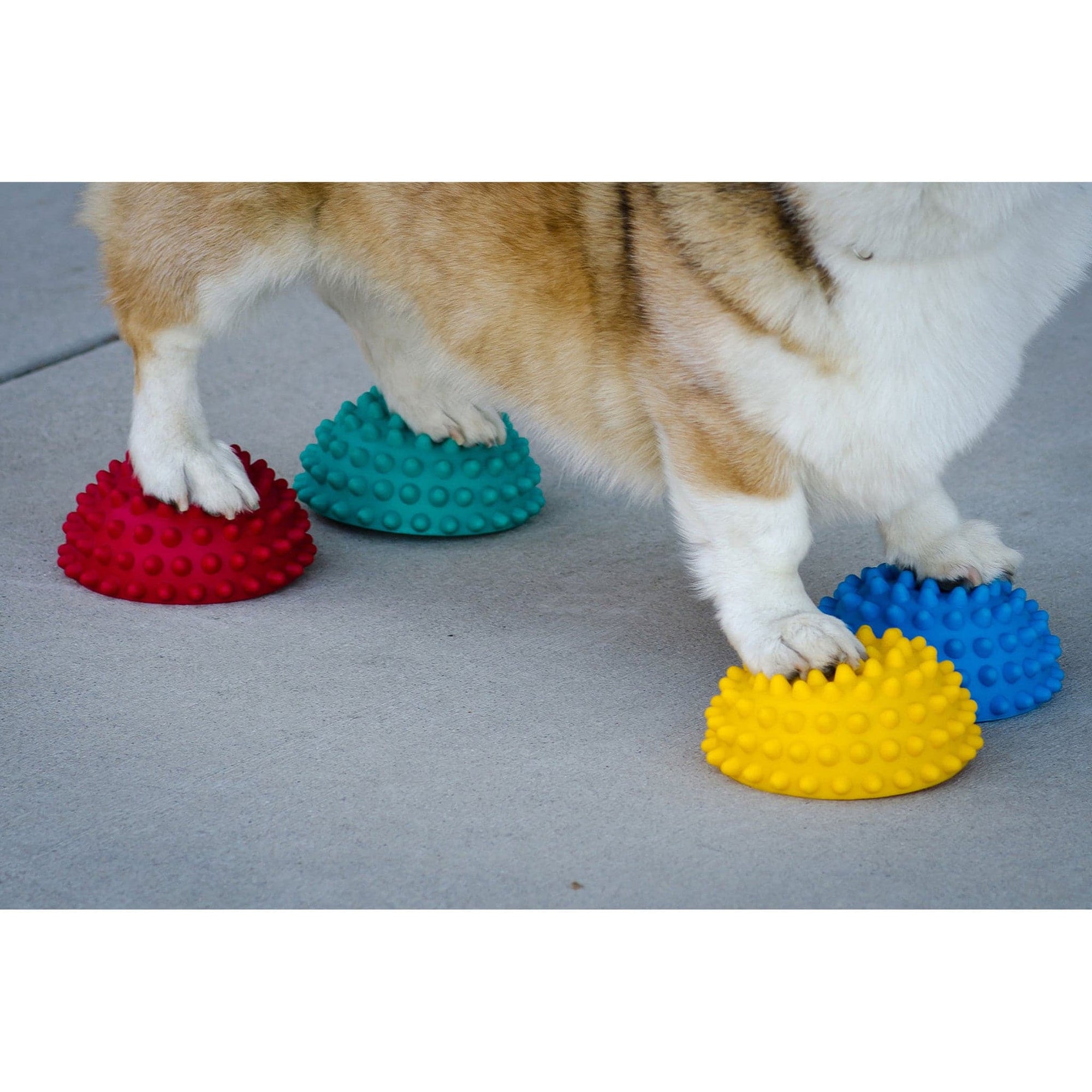 FitPAWS Paw Pods