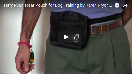 Learn all about the Terry Ryan Treat Pouch for Dog Training