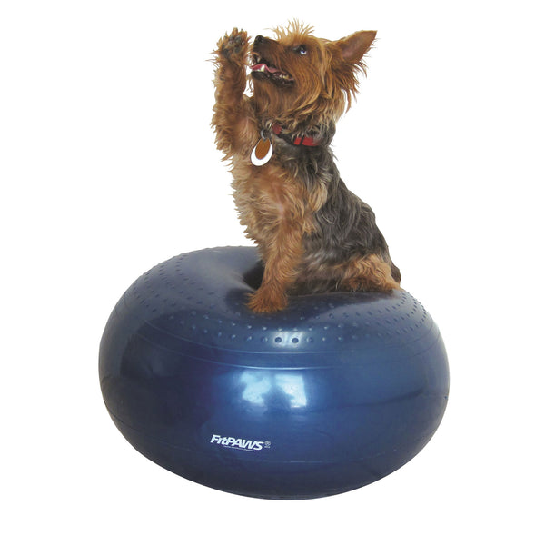 https://shop.clickertraining.com/cdn/shop/collections/fitpaws-donut-dog-2400x2400_600x.jpg?v=1447863372