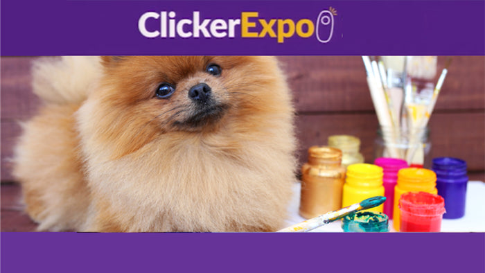 Spark! Improving Your Creativity as a Person & a Trainer - Video on Demand - 12 Days of Training Special