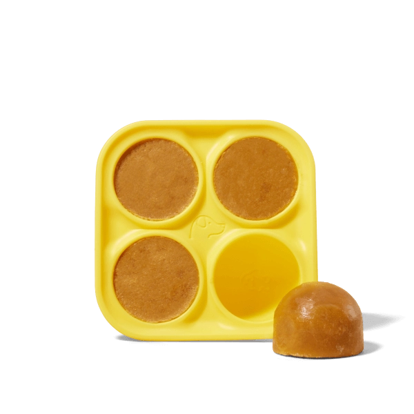 Pupsicle - Treat Tray - Extra Large