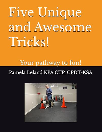 Five Unique and Awesome Tricks - Pamela Leland