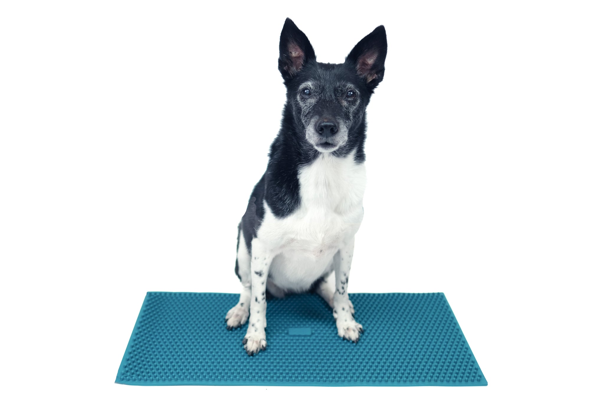 FitPaws® FitMat Teal