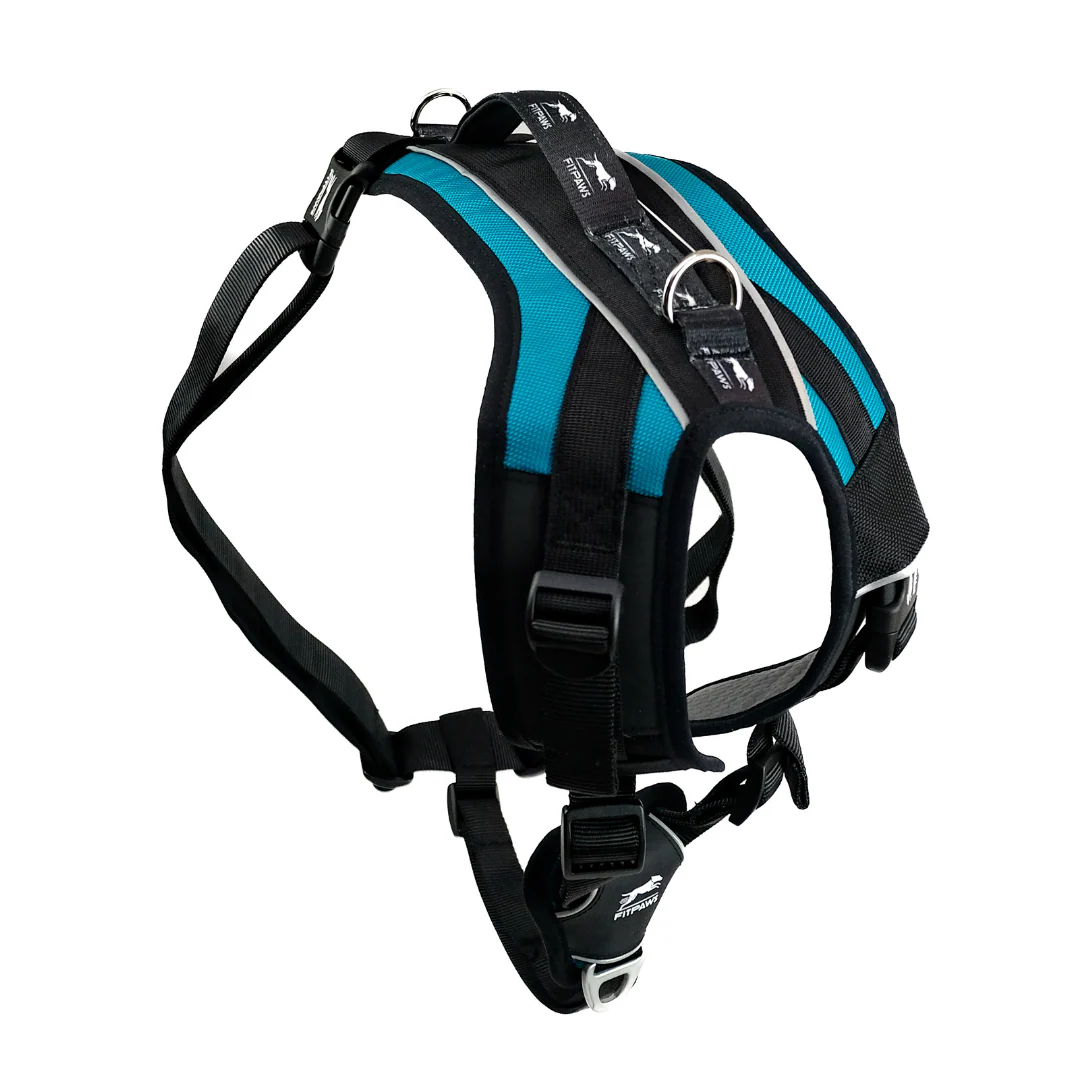 FitPaws® Made to Move Harness Only