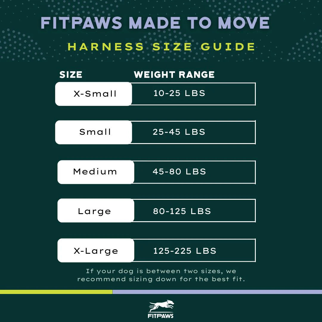 FitPaws® Made to Move Harness Only