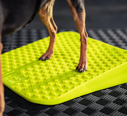 FitPaws® Balance Ramp