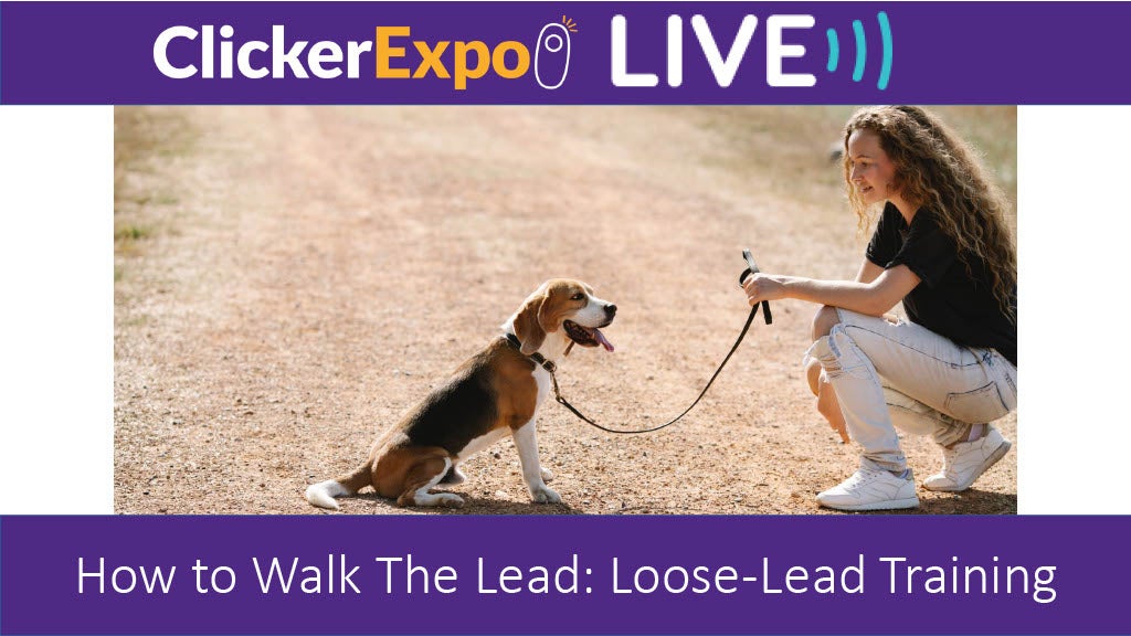 Walk In Leads How to Walk The Lead: Loose-Lead Training - Video on Demand - Karen ...