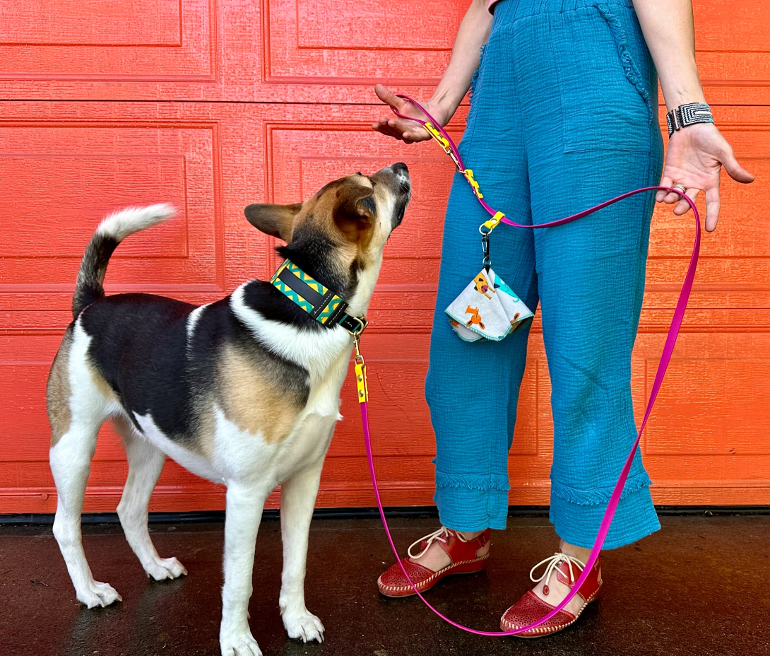 Loose Leash Walking Teaching Puppy Not To Pull On Leash Loose