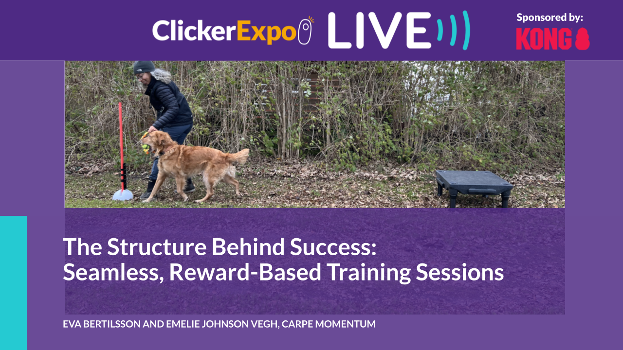 The Structure Behind Success: Seamless, Reward-Based Training Sessions - Video on Demand