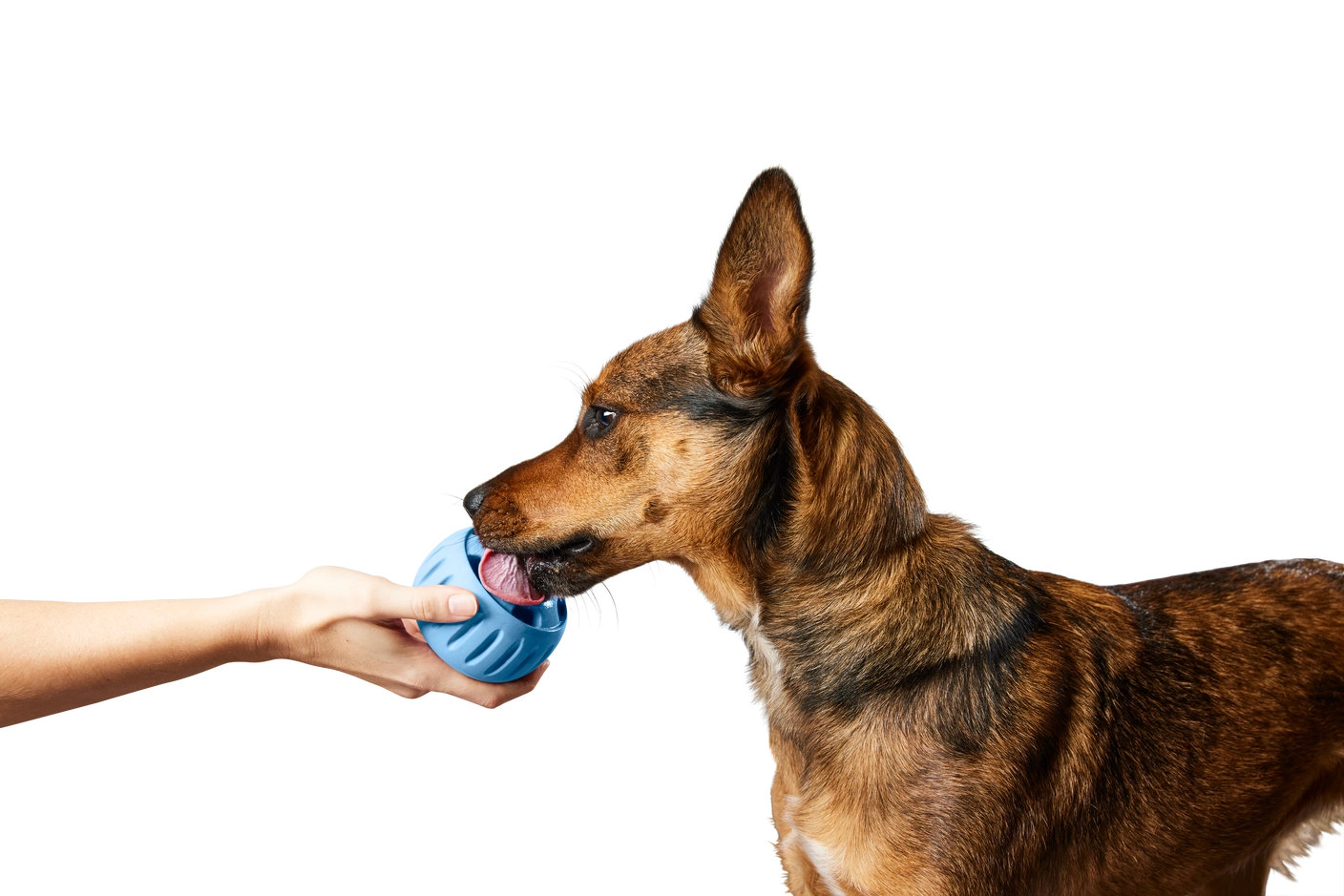 Pupsicle - Extra Large