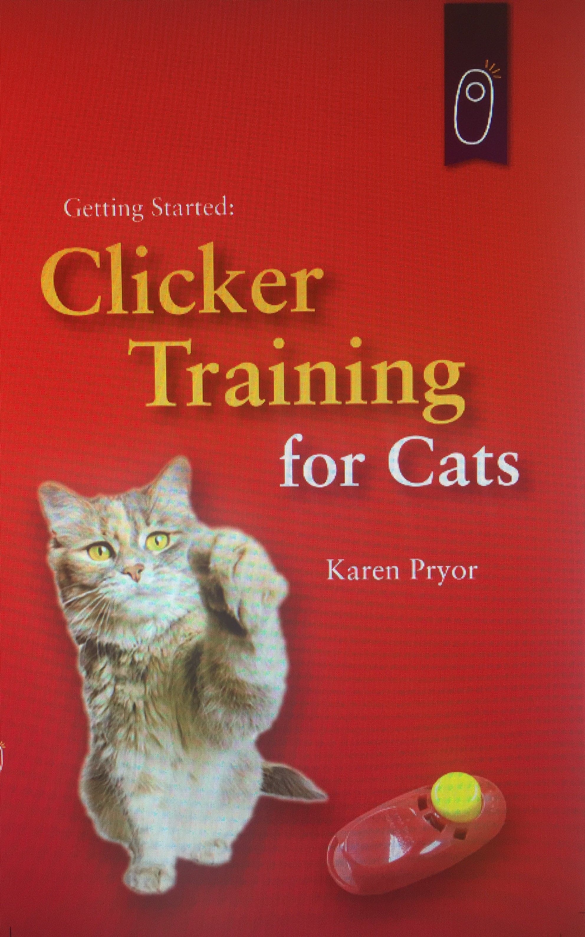 Cat Training Kit