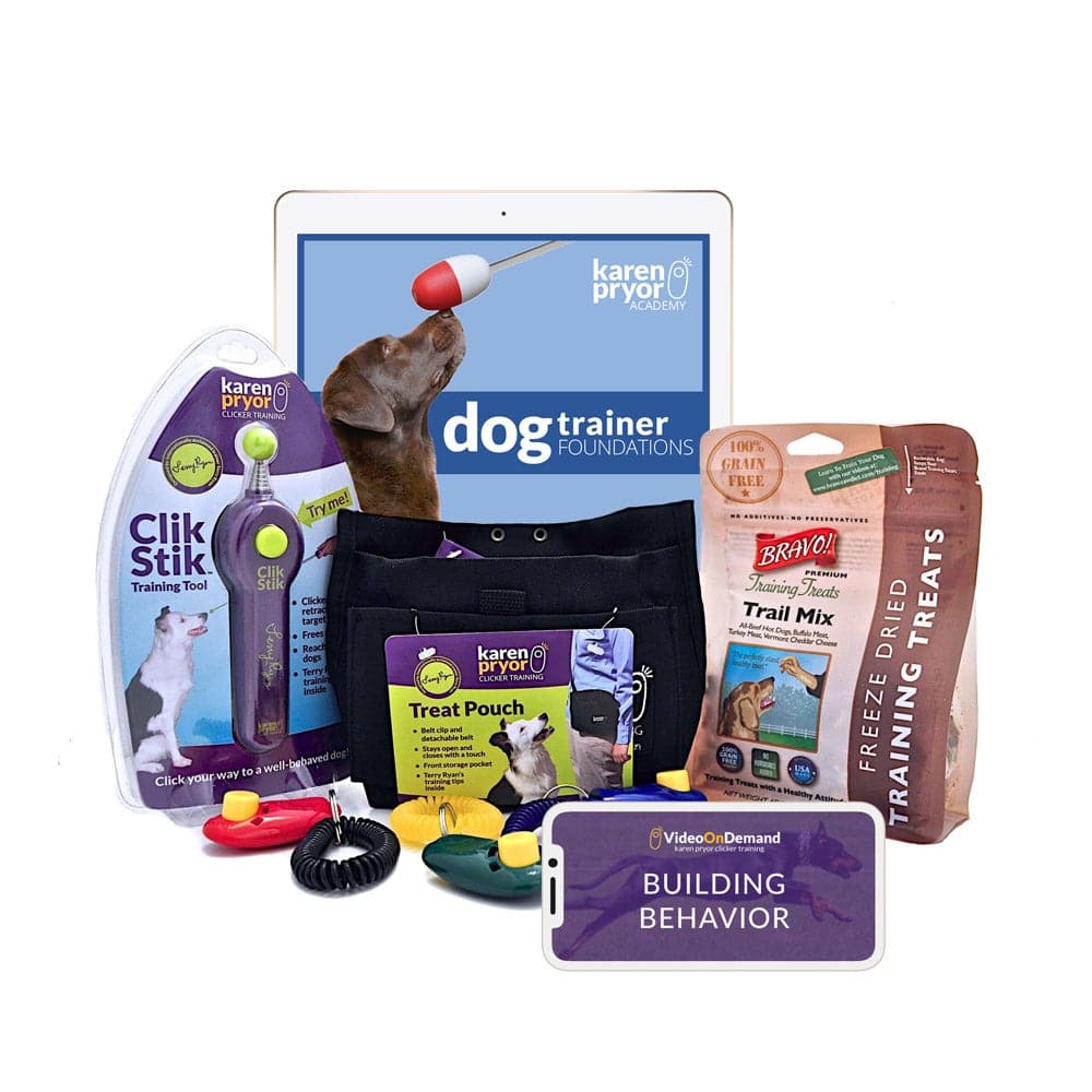 Dog Training Foundations:  Platinum Bundle