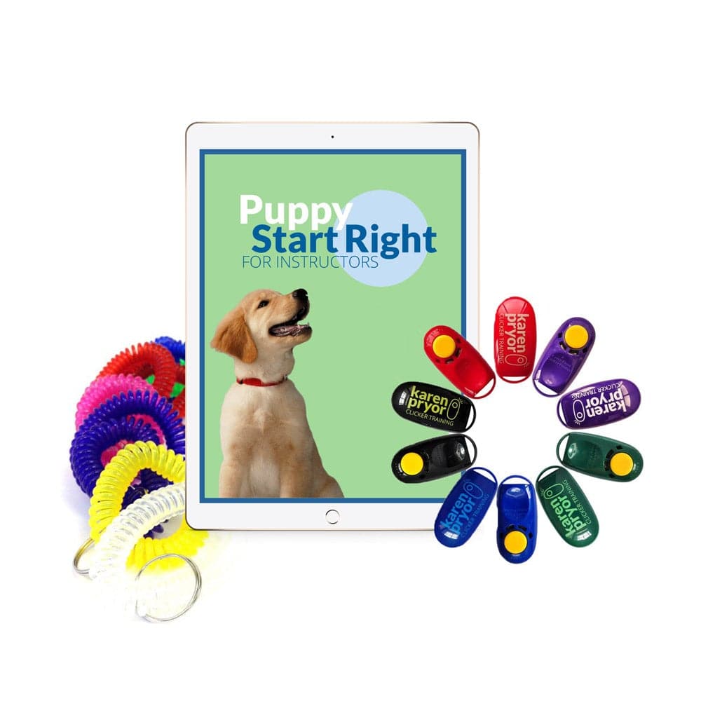 Puppy Start Right: Instructors Bundle