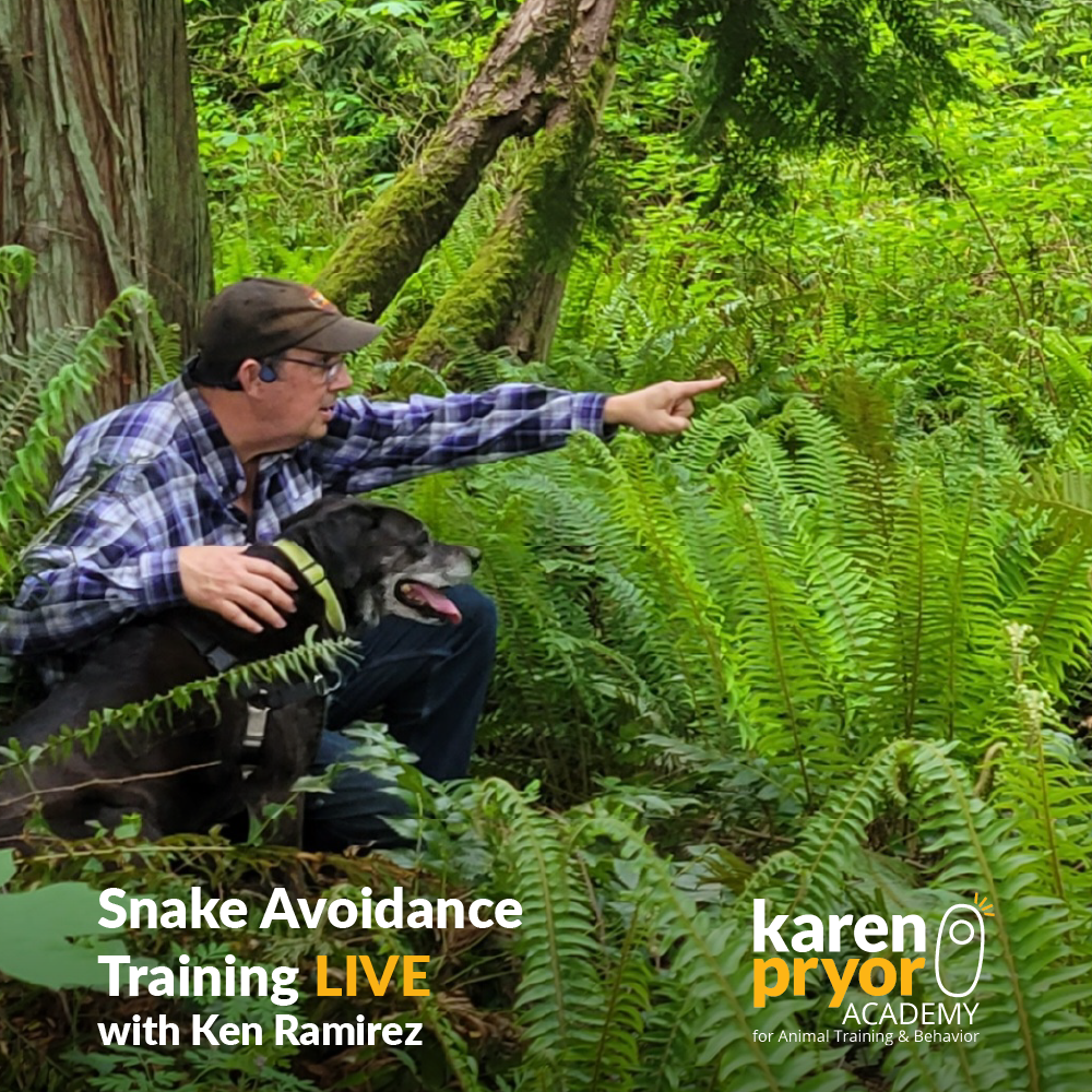 LIVE™!  Snake Avoidance Training with Ken Ramirez