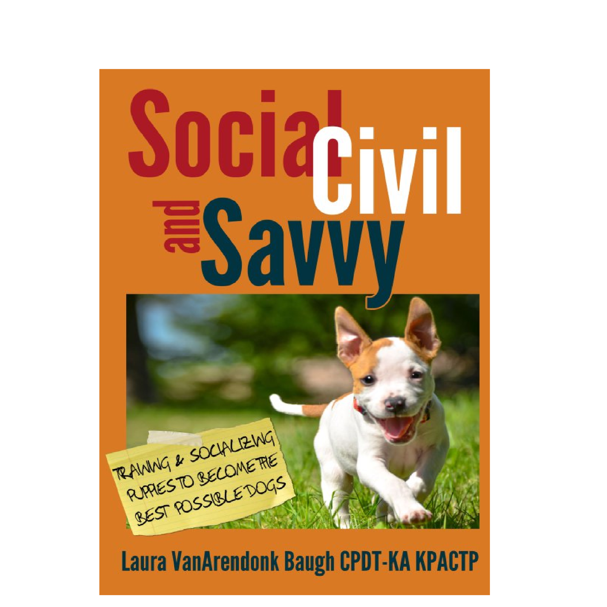 Social, Civil, and Savvy by Laura VanArendonk Baugh EXPO24