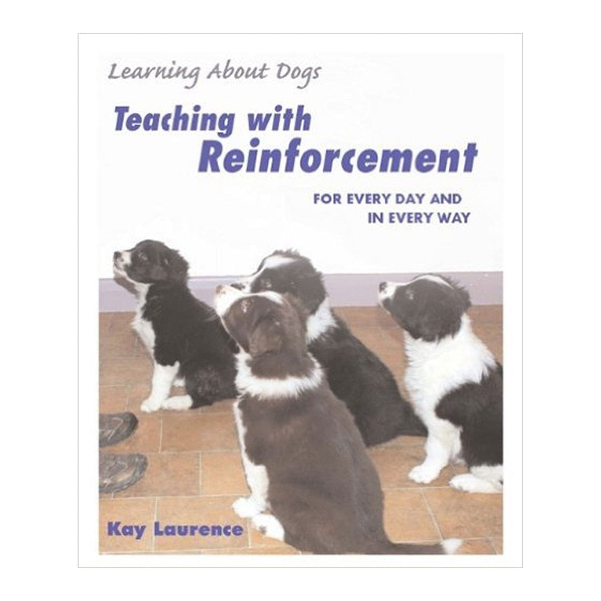 Teaching with Reinforcement by Kay Laurence